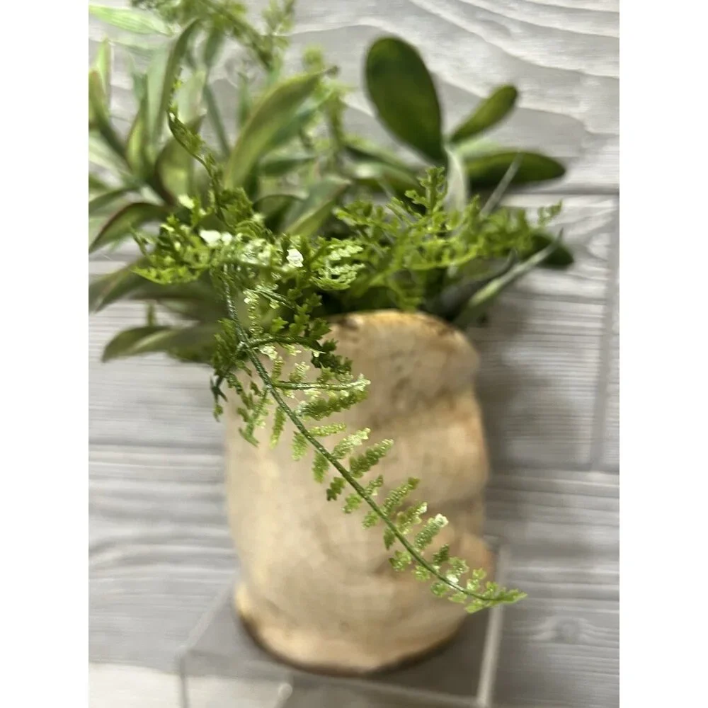 Rustic Crackled Owl Planter with Faux Succulents 9” Primitive Look Decor